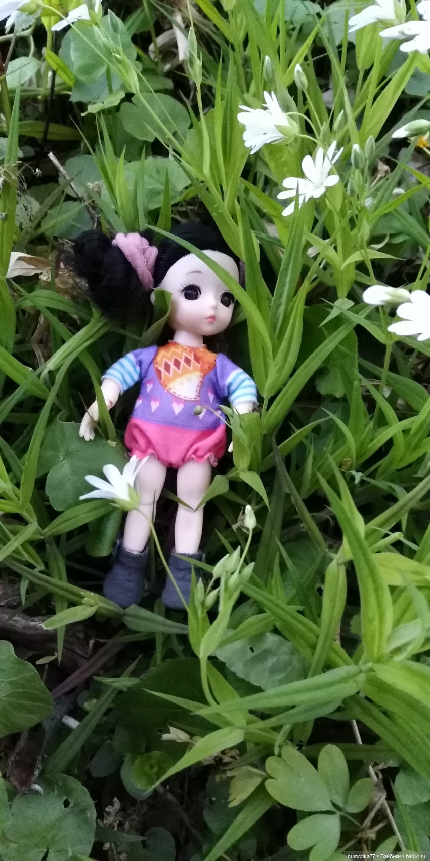 Первая прогулка Баболинки (фото 2)