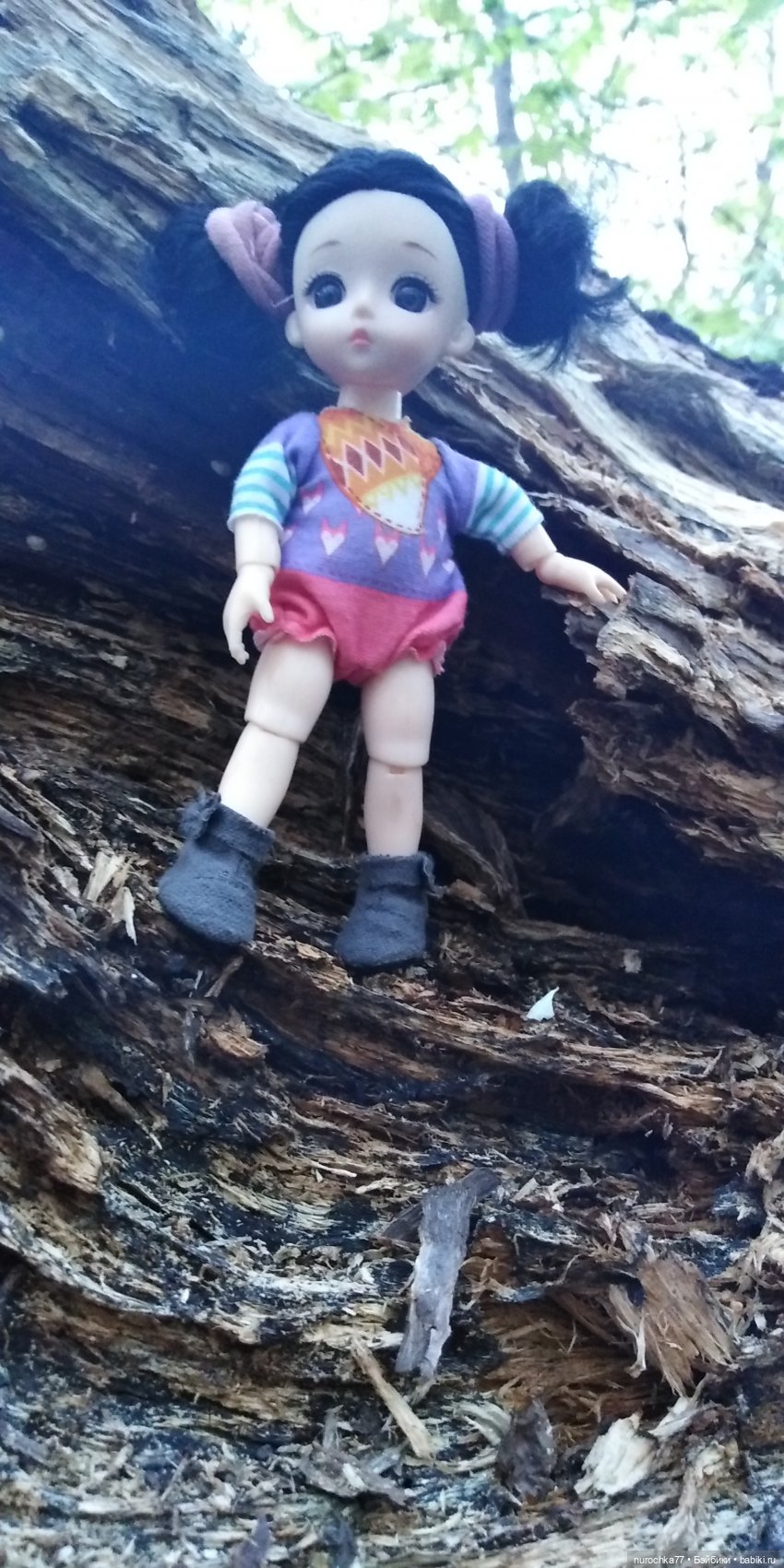 Первая прогулка Баболинки (фото 7)