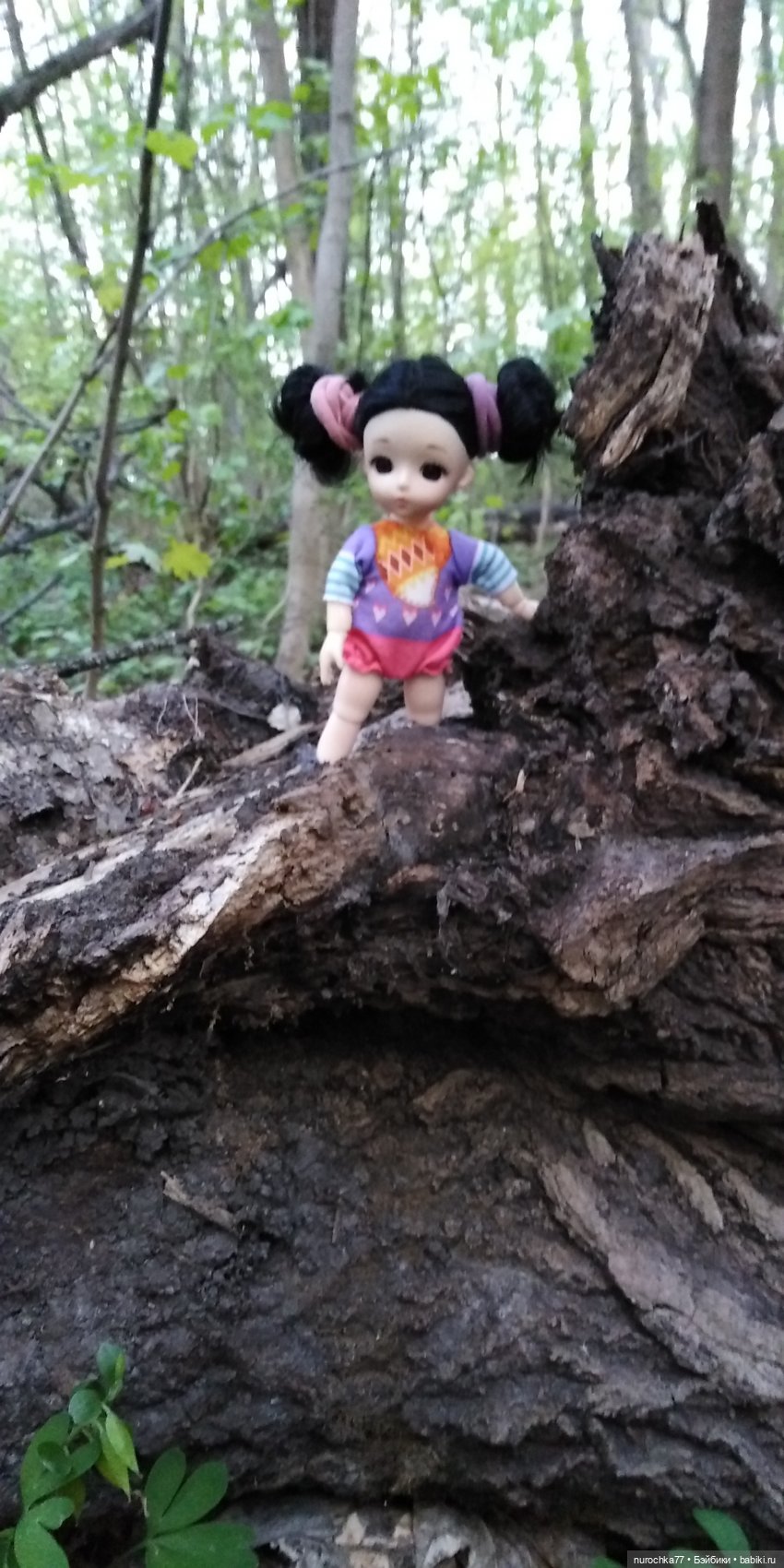 Первая прогулка Баболинки (фото 9)