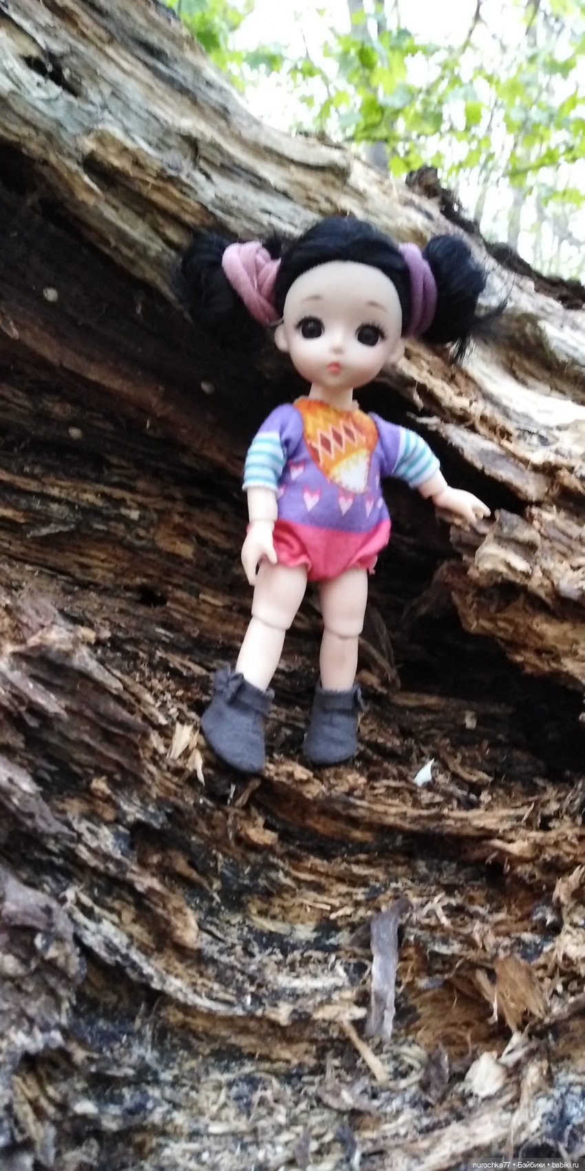 Первая прогулка Баболинки (фото 10)