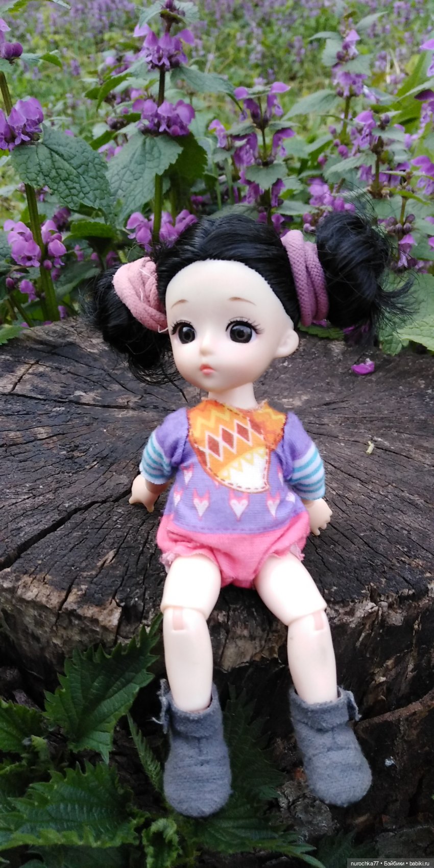 Первая прогулка Баболинки (фото 8)