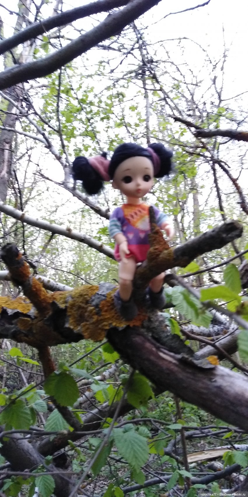 Первая прогулка Баболинки (фото 3)