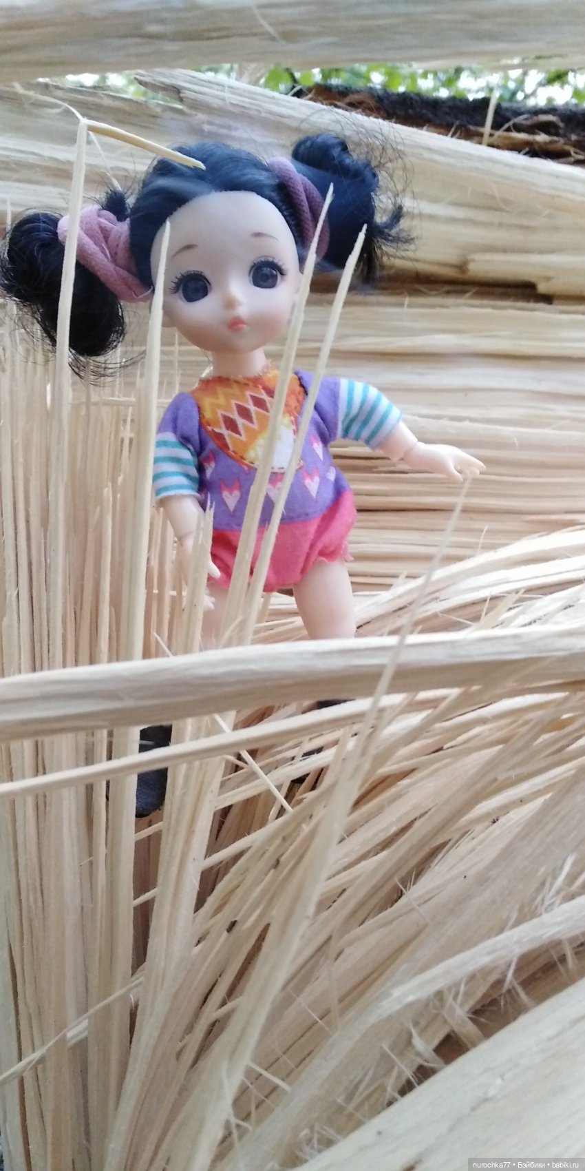 Первая прогулка Баболинки (фото 5)