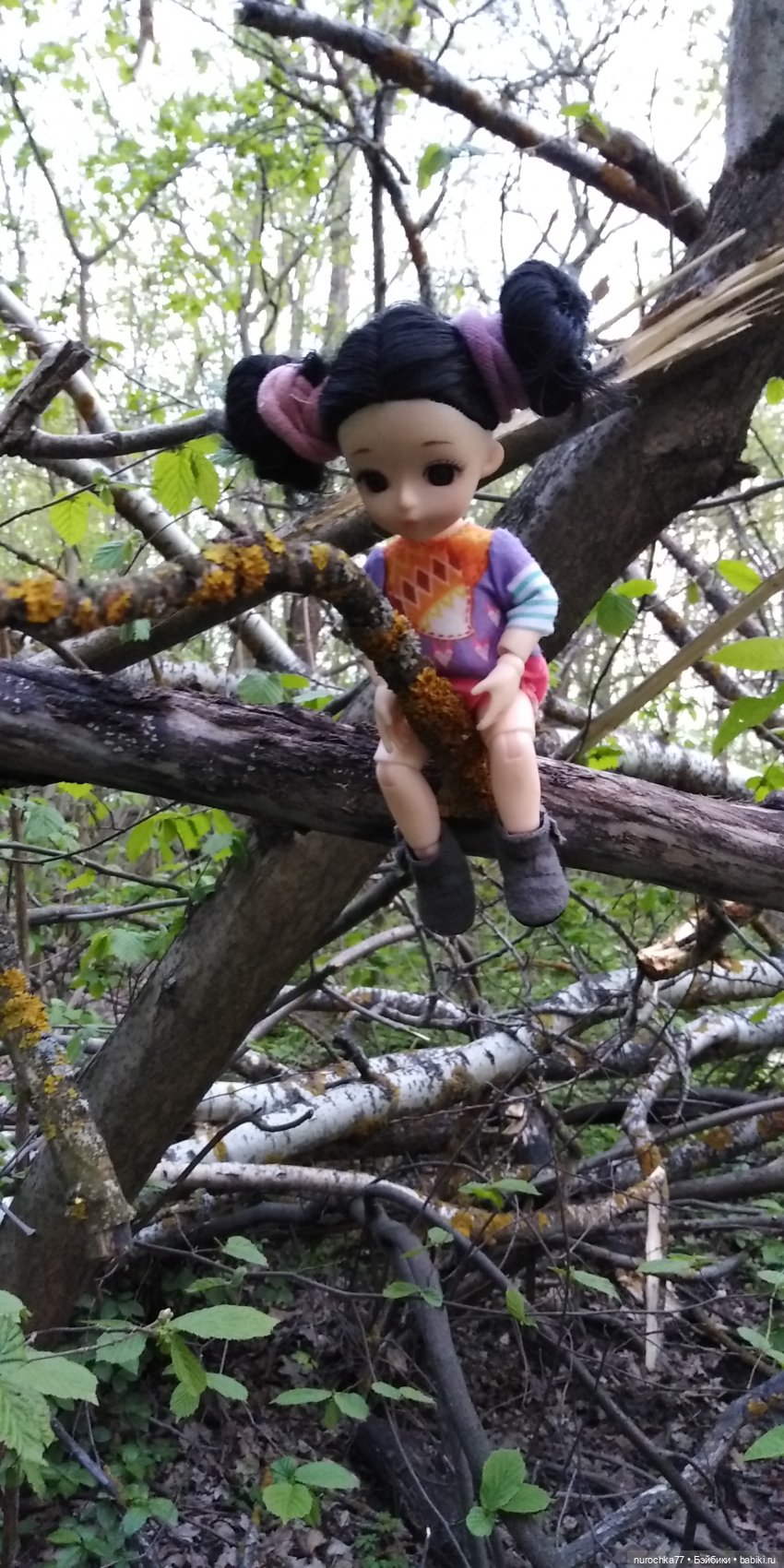 Первая прогулка Баболинки (фото 4)