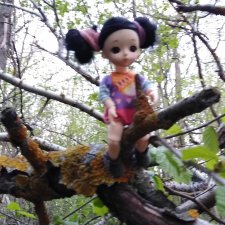 Первая прогулка Баболинки