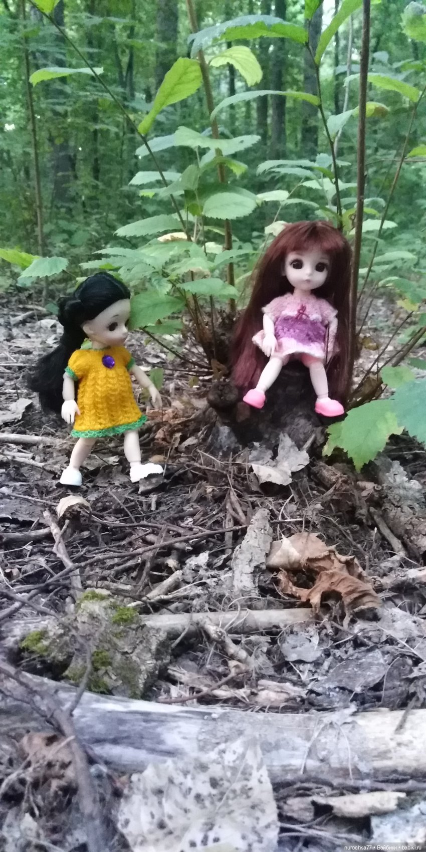 Прогулка малышек Баболи. Копытный пень и затаившаяся лягушка (фото 7)