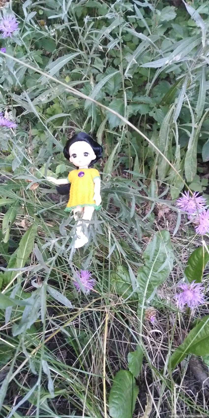 Прогулка малышек Баболи. Копытный пень и затаившаяся лягушка (фото 2)