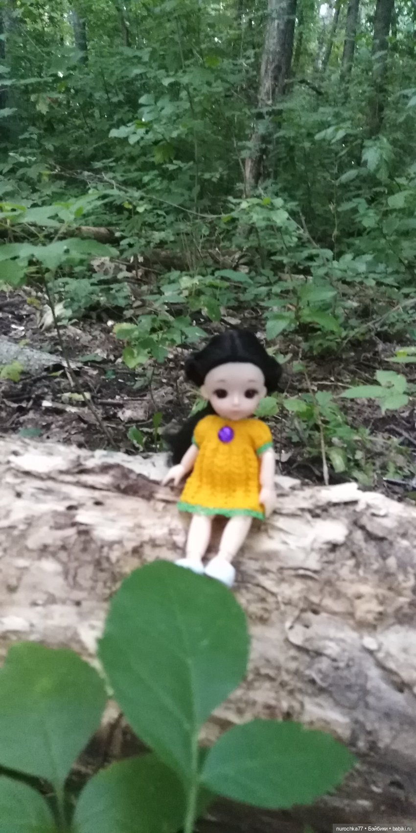 Прогулка малышек Баболи. Копытный пень и затаившаяся лягушка (фото 4)