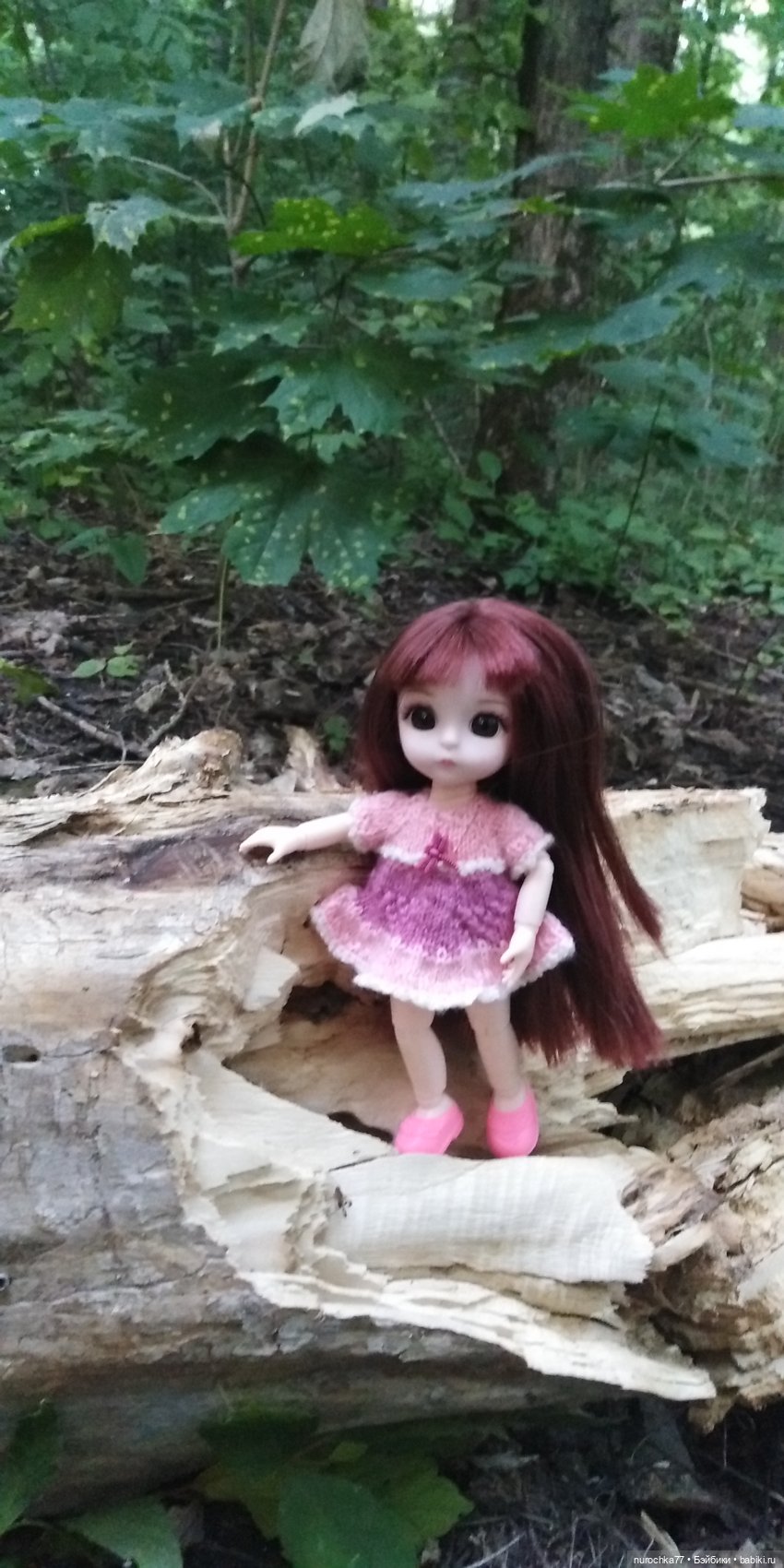 Прогулка малышек Баболи. Копытный пень и затаившаяся лягушка (фото 3)