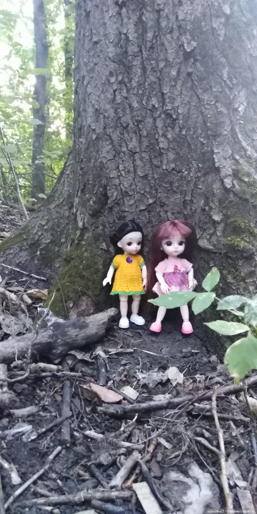 Прогулка малышек Баболи. Копытный пень и затаившаяся лягушка (фото 5)