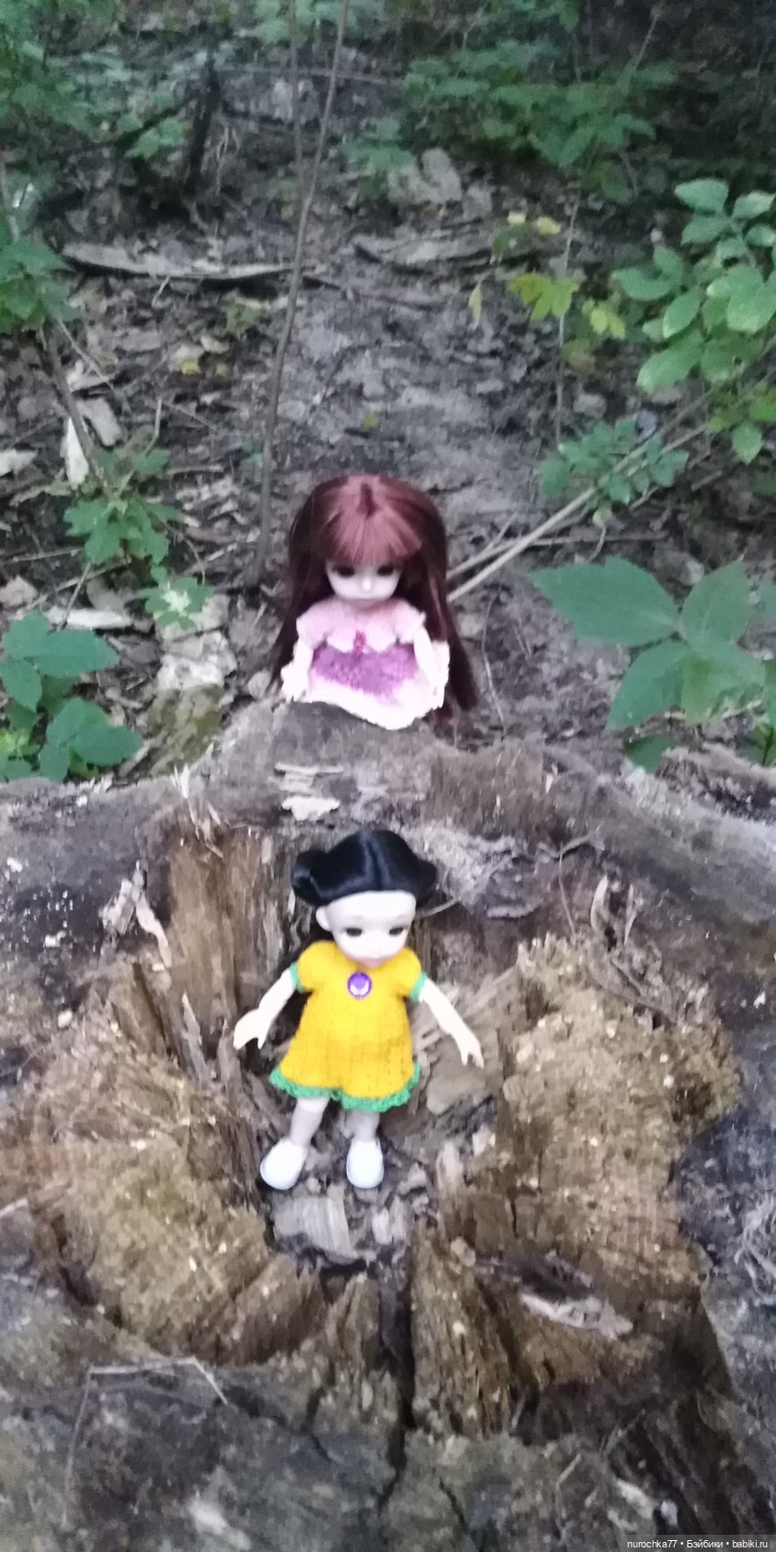 Прогулка малышек Баболи. Копытный пень и затаившаяся лягушка