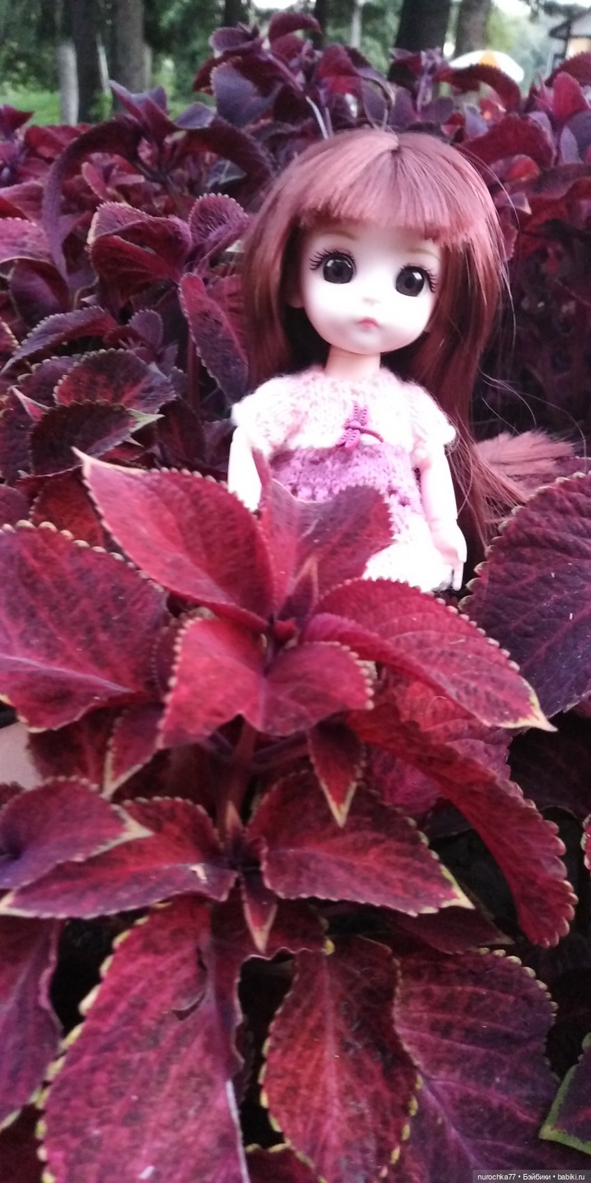 Прогулка малышек Баболи. Копытный пень и затаившаяся лягушка