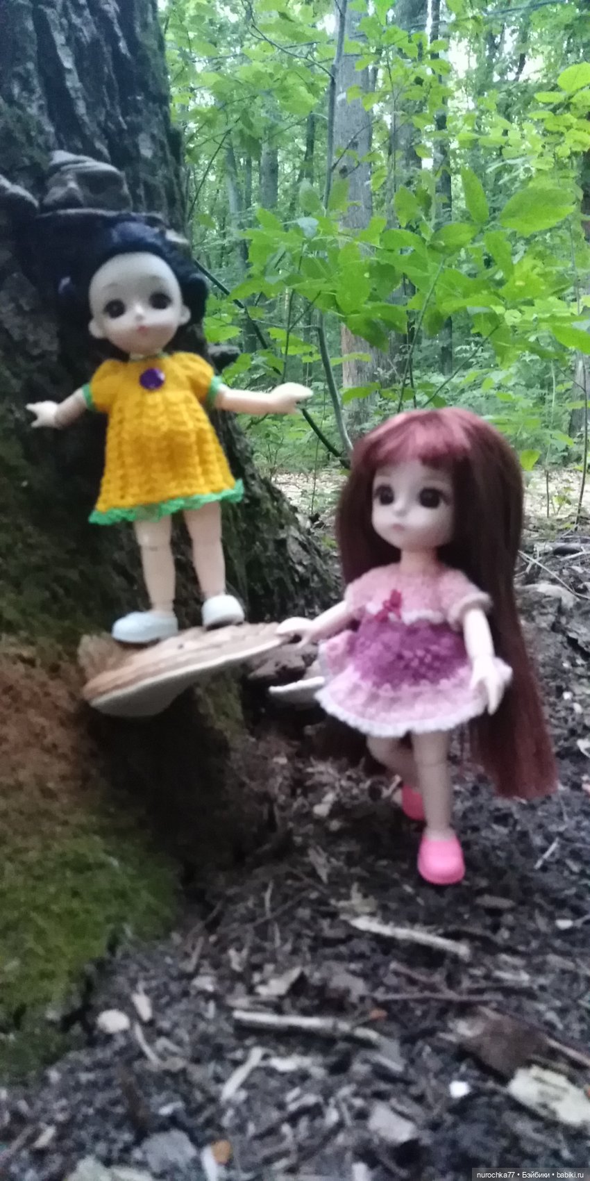 Прогулка малышек Баболи. Копытный пень и затаившаяся лягушка