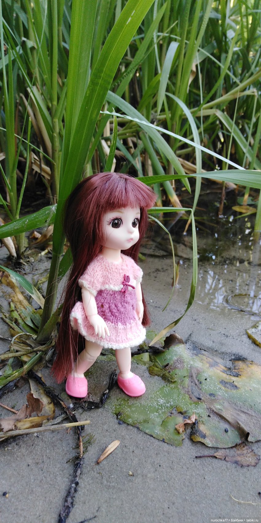 Прогулка малышек Баболи. Копытный пень и затаившаяся лягушка