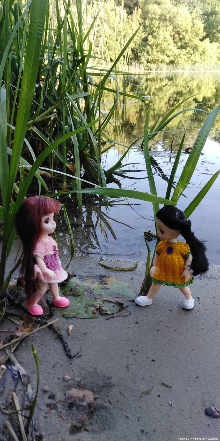 Прогулка малышек Баболи. Копытный пень и затаившаяся лягушка