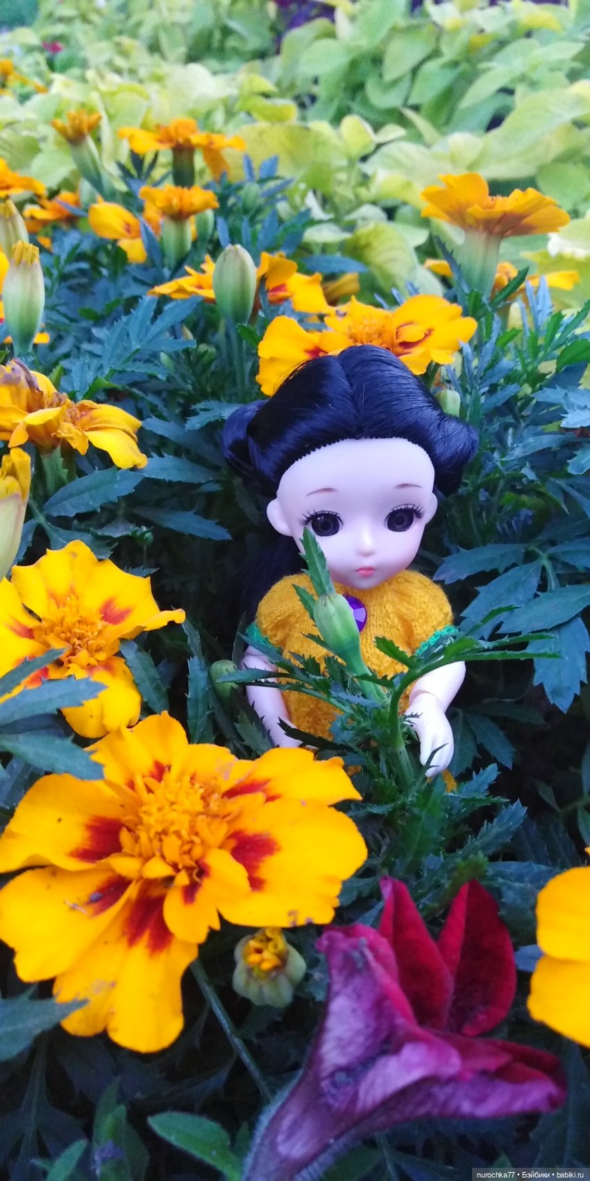 Прогулка малышек Баболи. Копытный пень и затаившаяся лягушка