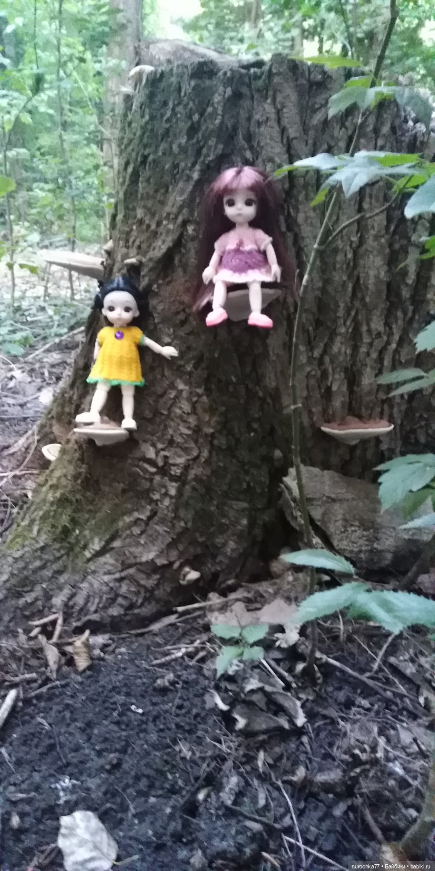 Прогулка малышек Баболи. Копытный пень и затаившаяся лягушка