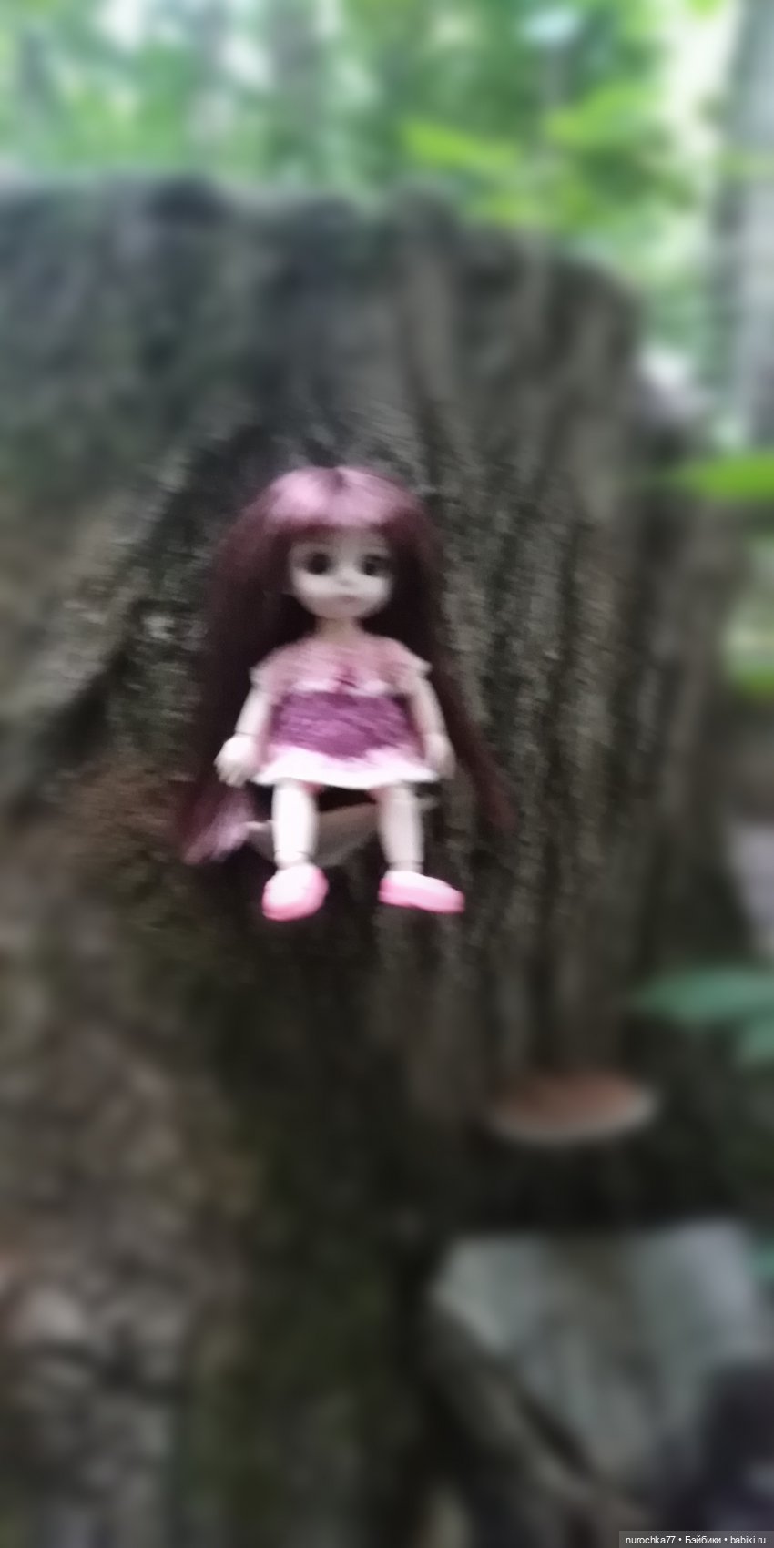 Прогулка малышек Баболи. Копытный пень и затаившаяся лягушка