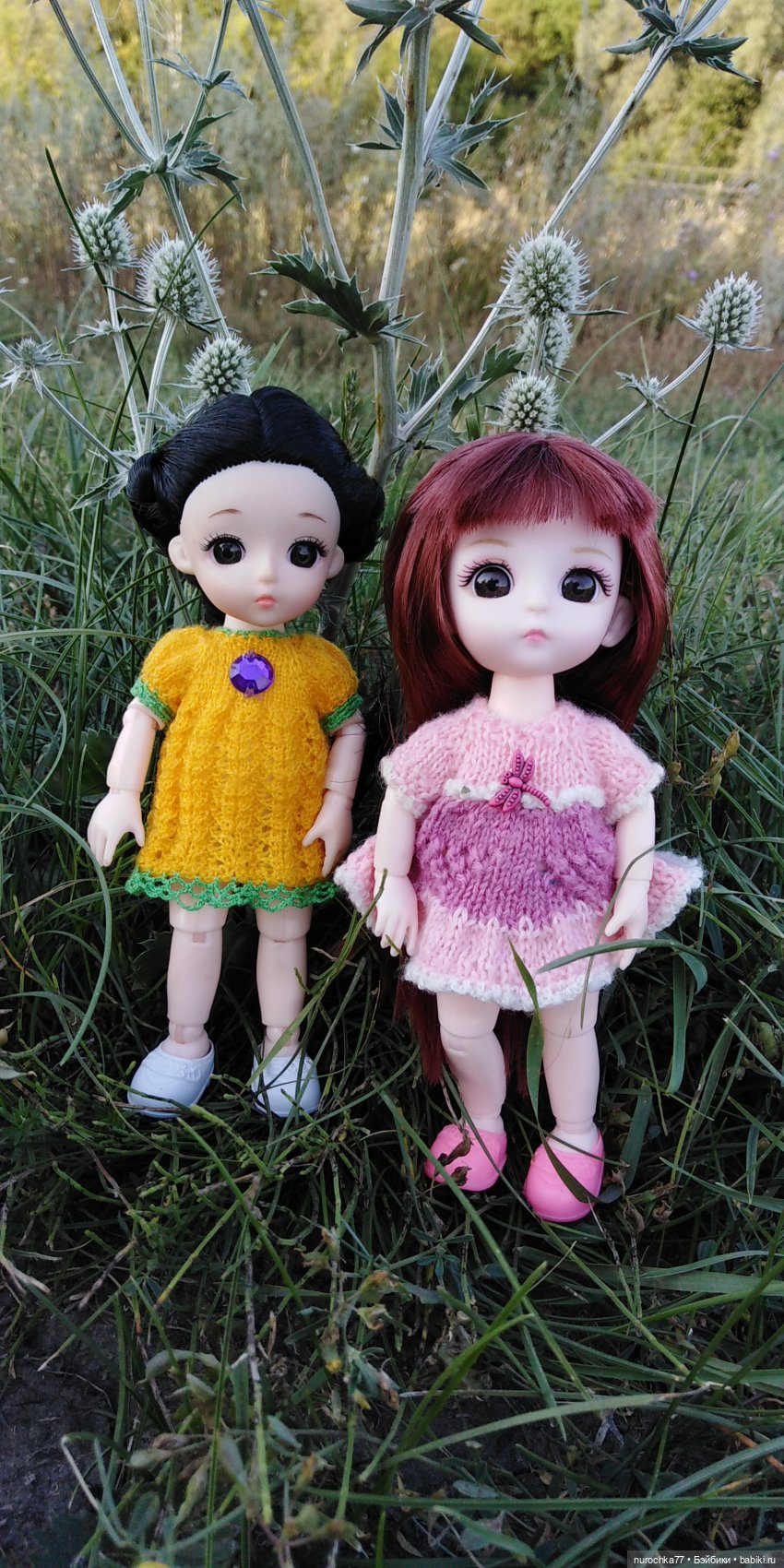 Прогулка малышек Баболи. Копытный пень и затаившаяся лягушка