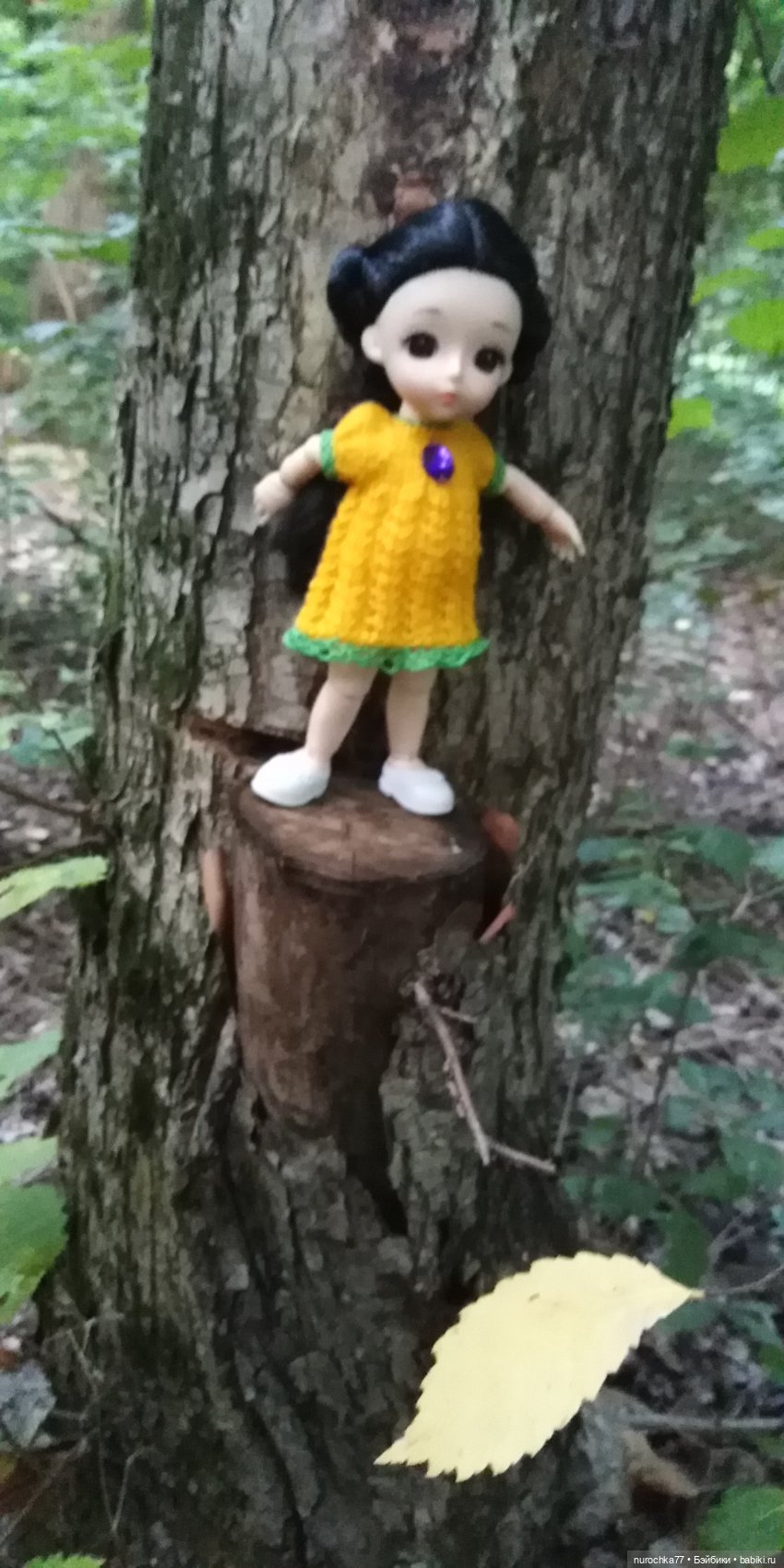 Прогулка малышек Баболи. Копытный пень и затаившаяся лягушка