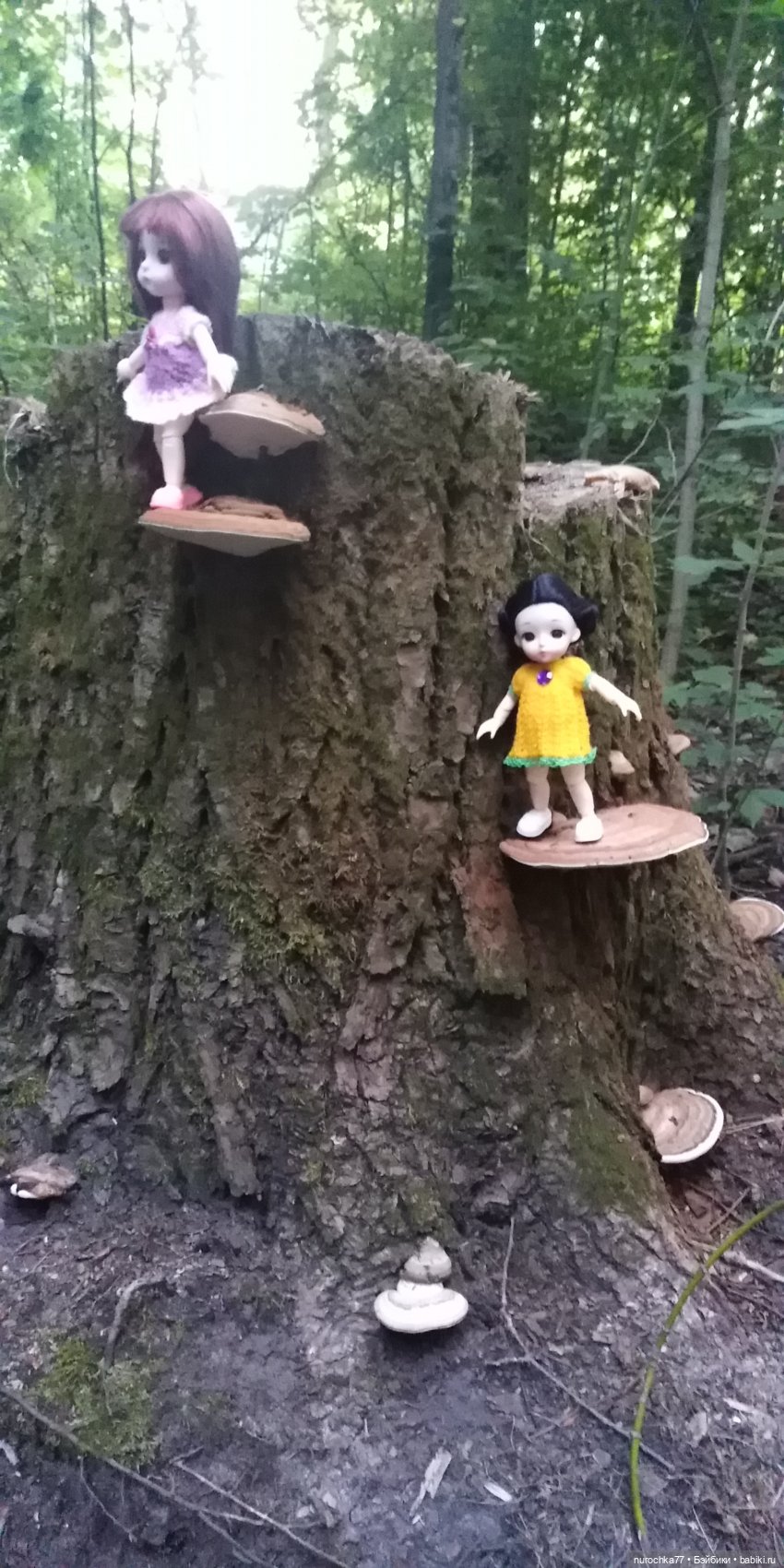 Прогулка малышек Баболи. Копытный пень и затаившаяся лягушка (фото 9)