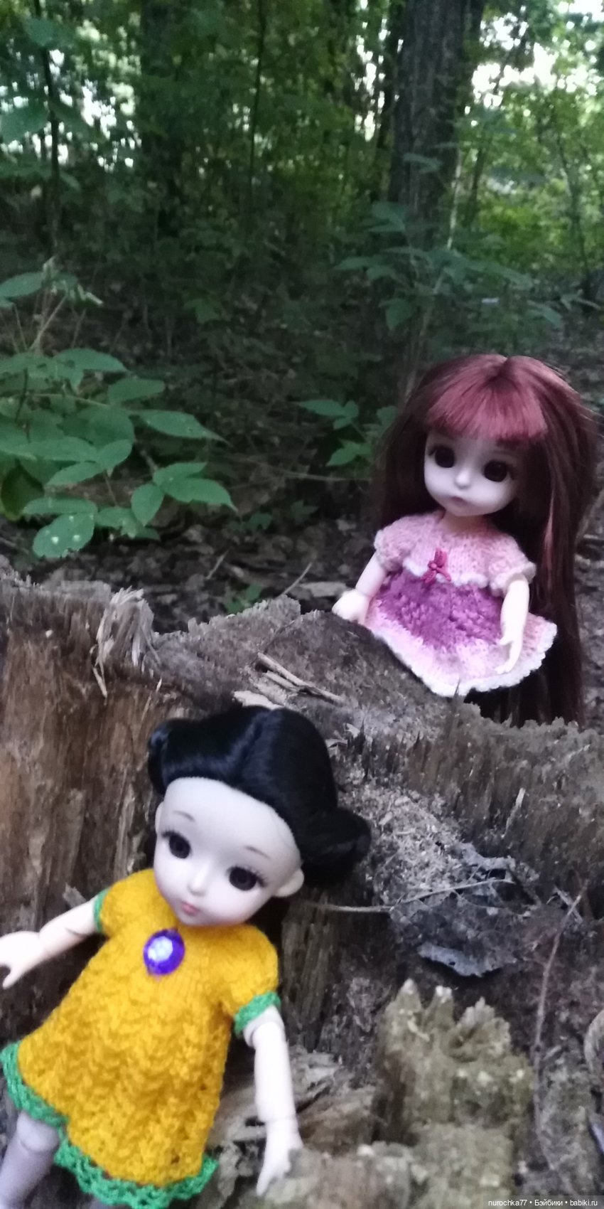 Прогулка малышек Баболи. Копытный пень и затаившаяся лягушка