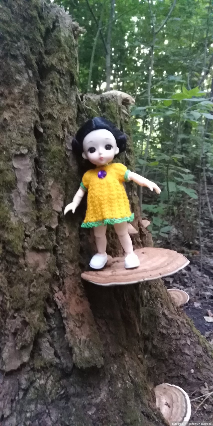 Прогулка малышек Баболи. Копытный пень и затаившаяся лягушка