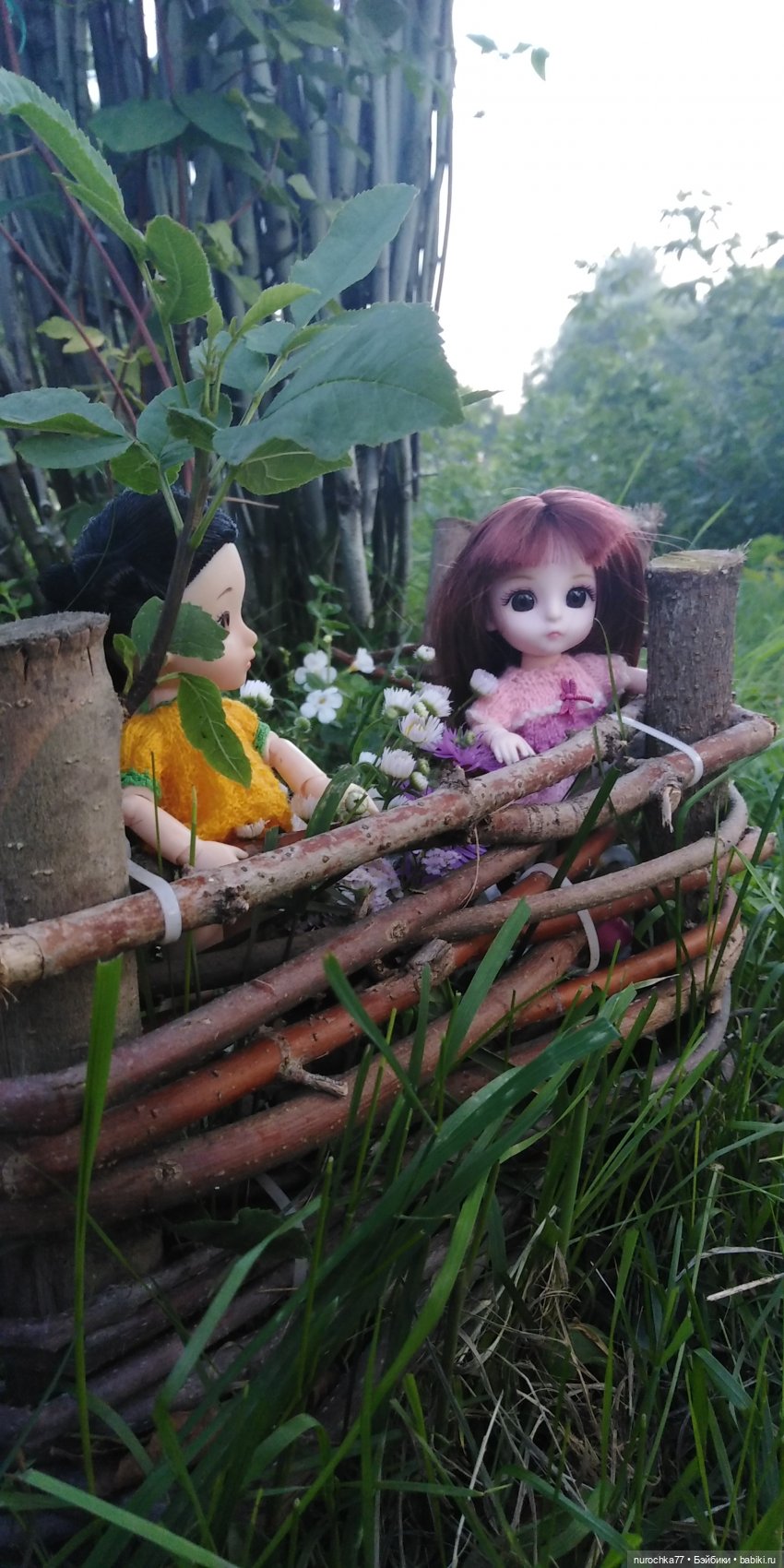 Прогулка малышек Баболи. Копытный пень и затаившаяся лягушка