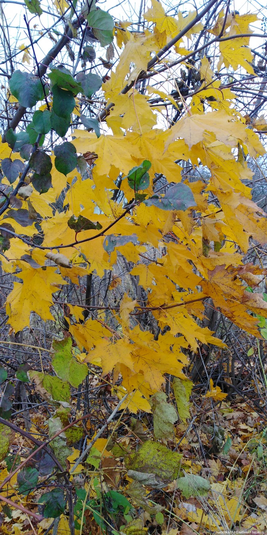 Ремонт куклы Ксюши — Чистка и лечение кукол: как убрать пятна