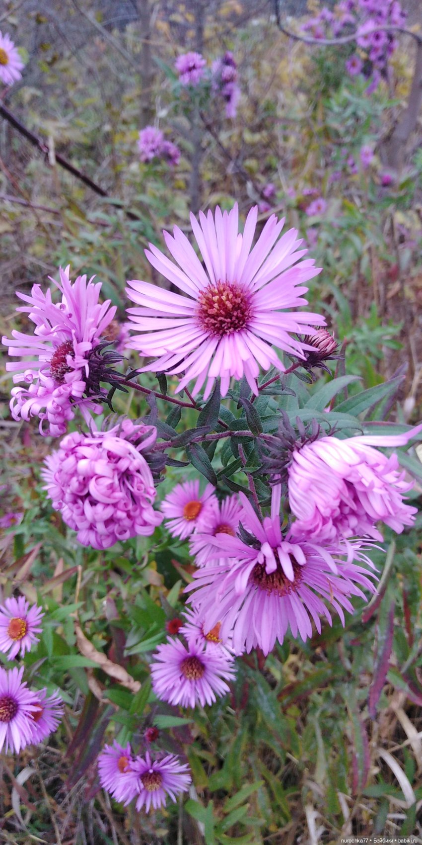 Ремонт куклы Ксюши — Чистка и лечение кукол: как убрать пятна
