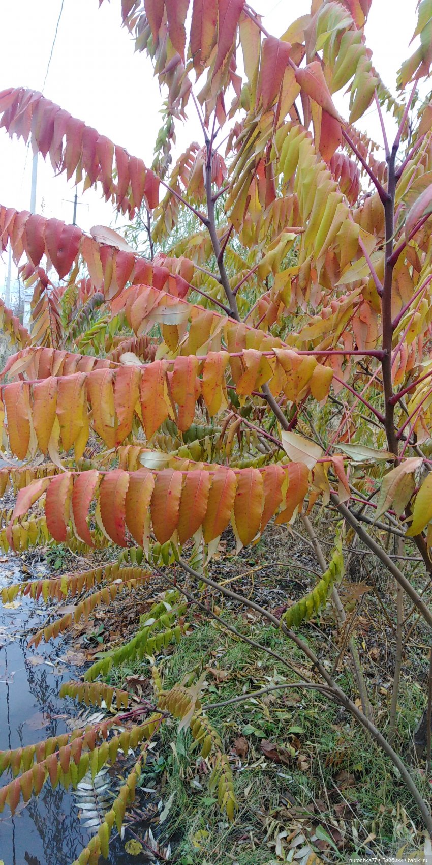 Ремонт куклы Ксюши — Чистка и лечение кукол: как убрать пятна