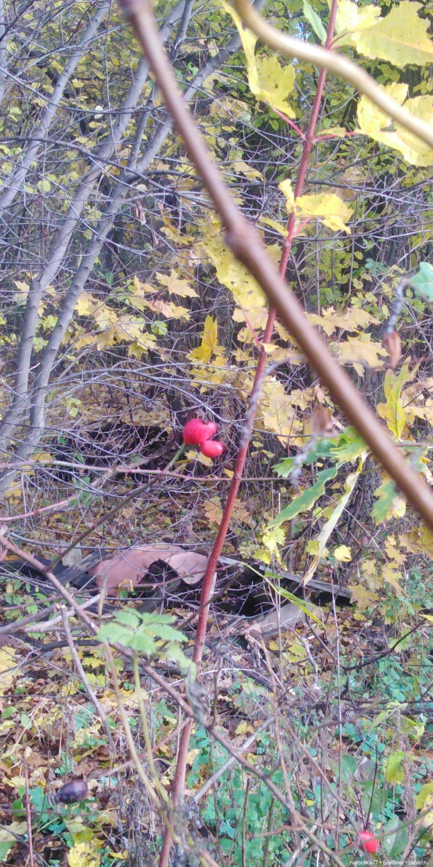 Ремонт куклы Ксюши — Чистка и лечение кукол: как убрать пятна
