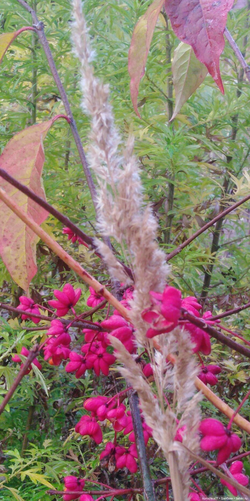 Ремонт куклы Ксюши — Чистка и лечение кукол: как убрать пятна