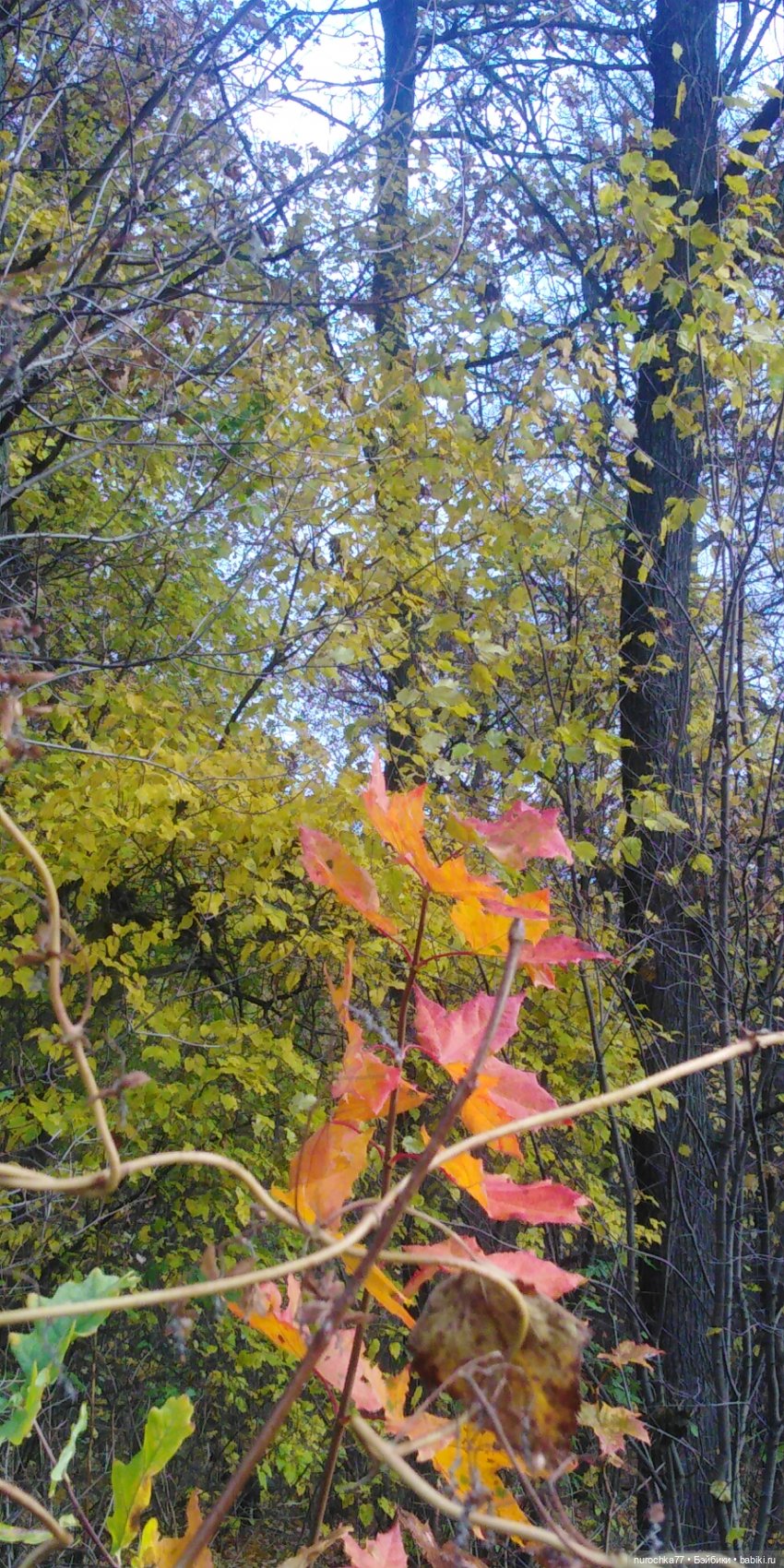 Ремонт куклы Ксюши — Чистка и лечение кукол: как убрать пятна