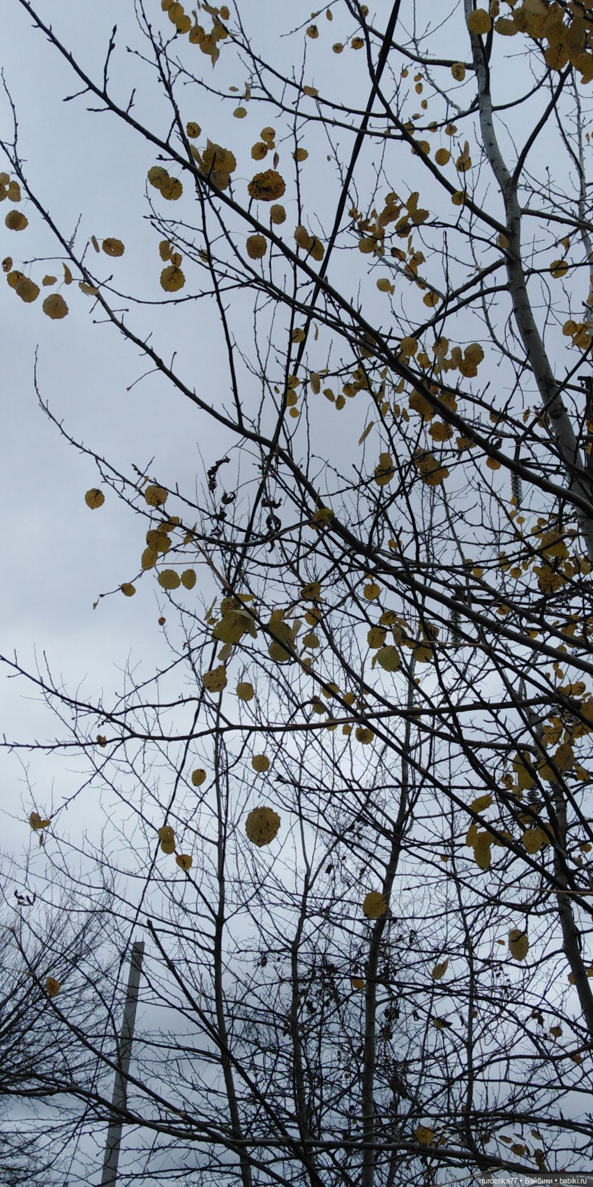 Ремонт куклы Ксюши — Чистка и лечение кукол: как убрать пятна