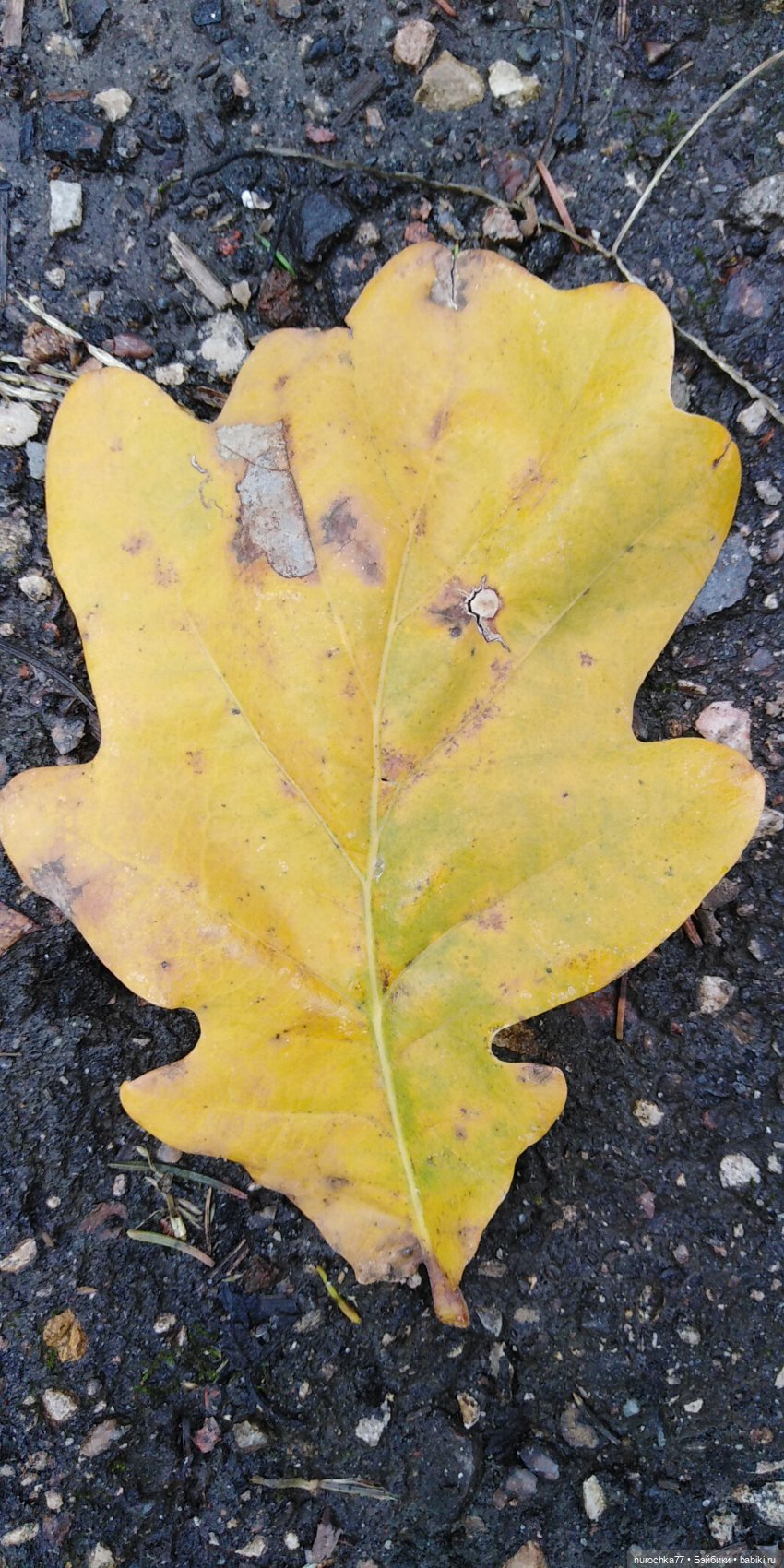 Ремонт куклы Ксюши — Чистка и лечение кукол: как убрать пятна