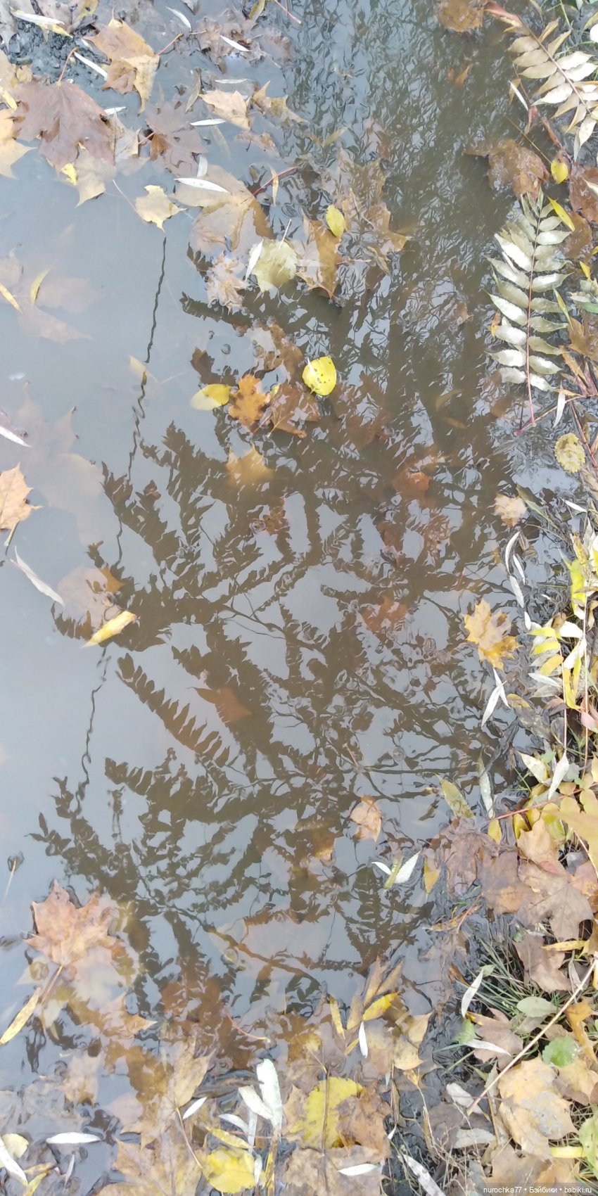 Ремонт куклы Ксюши — Чистка и лечение кукол: как убрать пятна