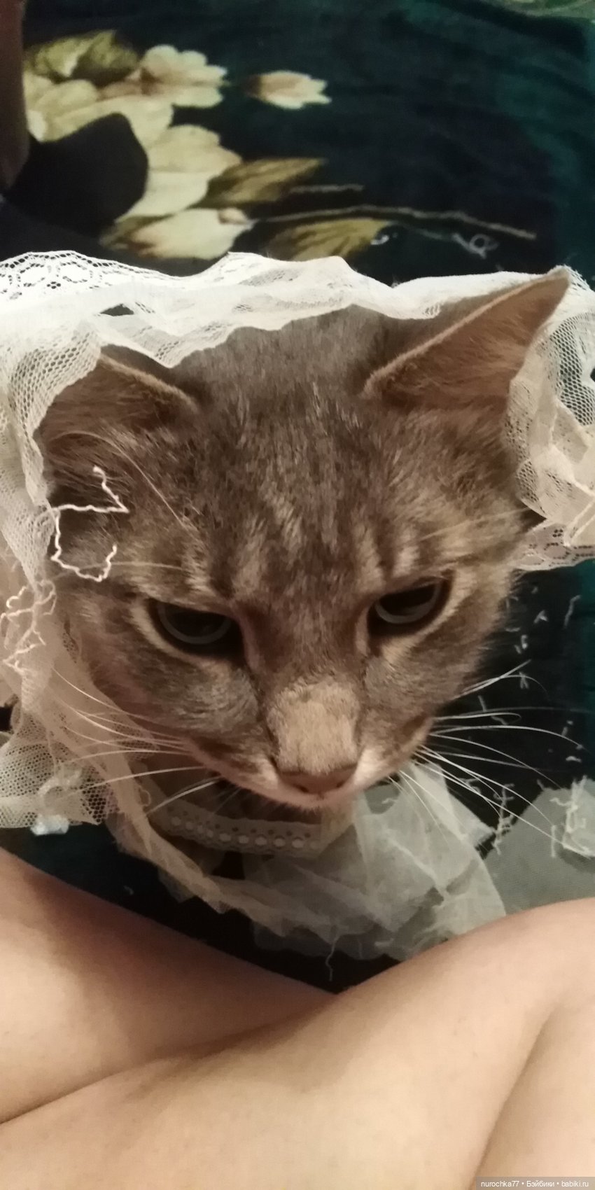 Ремонт куклы Ксюши — Чистка и лечение кукол: как убрать пятна (фото 7)