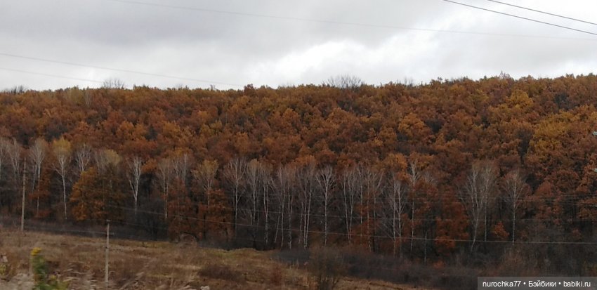 Ремонт куклы Ксюши — Чистка и лечение кукол: как убрать пятна