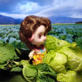 Про Нафочку. В капусте.