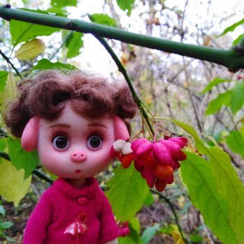 Про Нафочку. Прогулка в лесу.