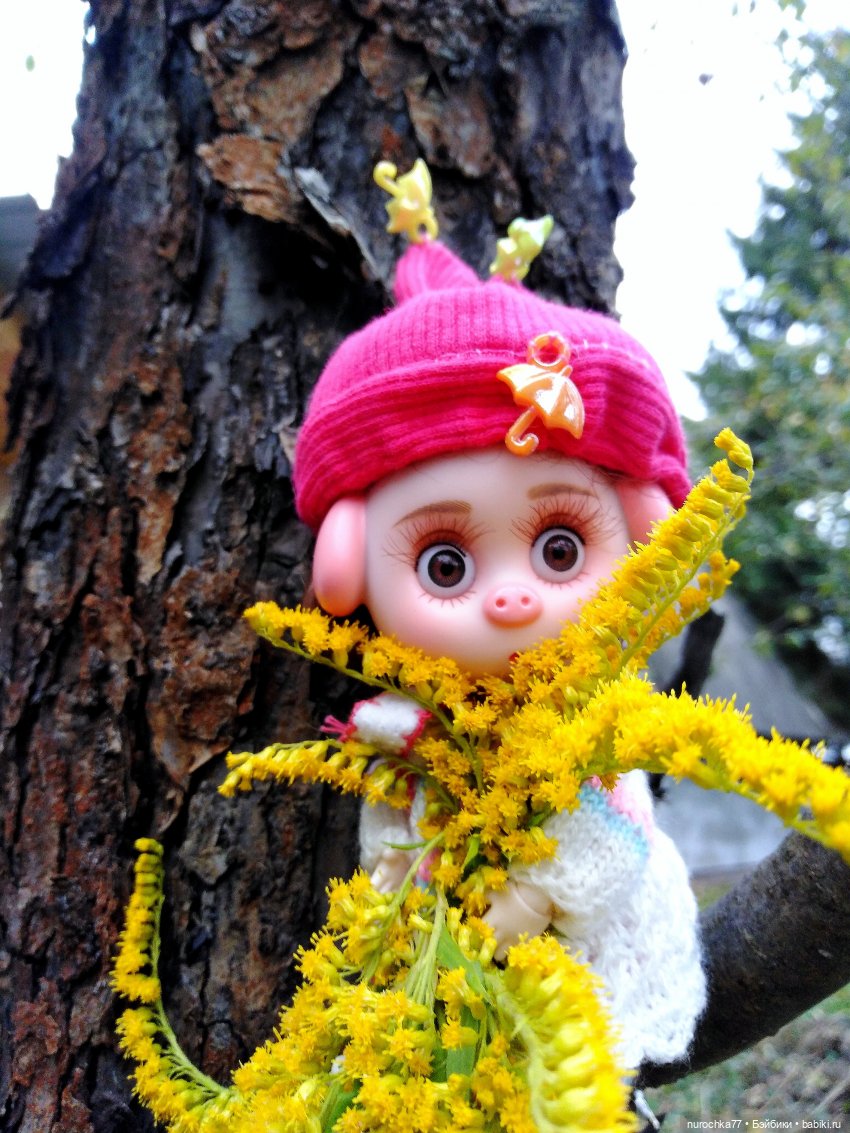 Про Нафочку. Допрыгалась Красная шапочка (фото 9)