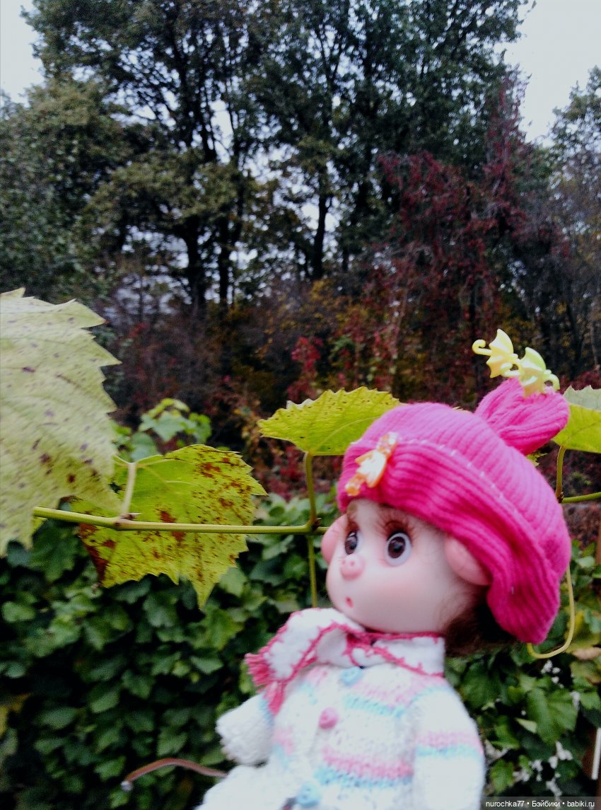 Про Нафочку. Допрыгалась Красная шапочка (фото 2)