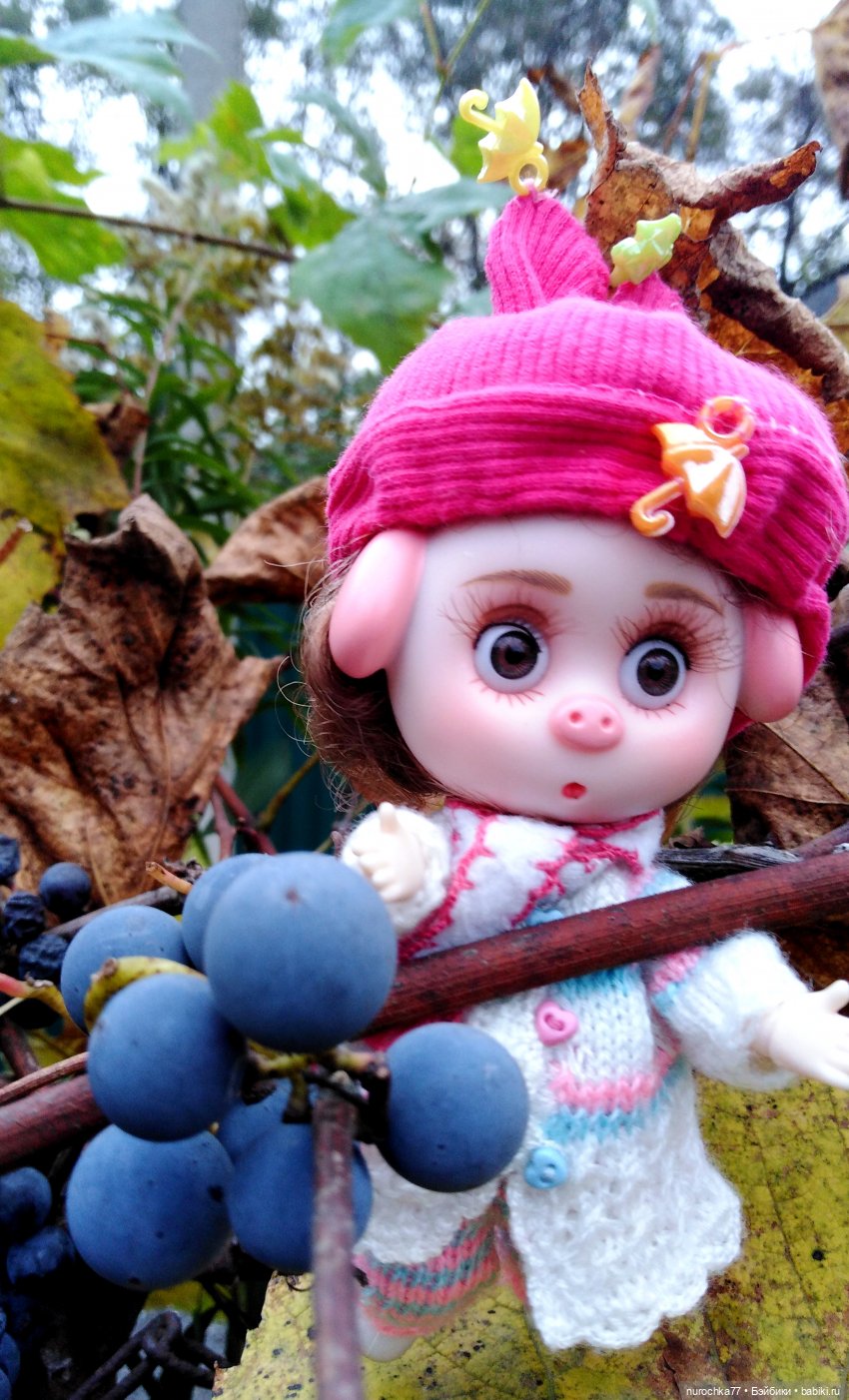 Про Нафочку. Допрыгалась Красная шапочка (фото 5)