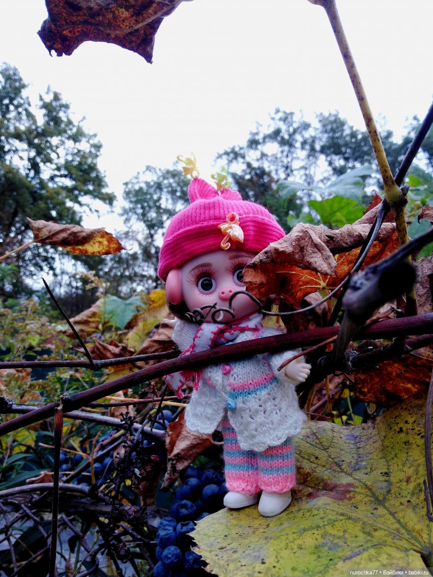 Про Нафочку. Допрыгалась Красная шапочка (фото 4)