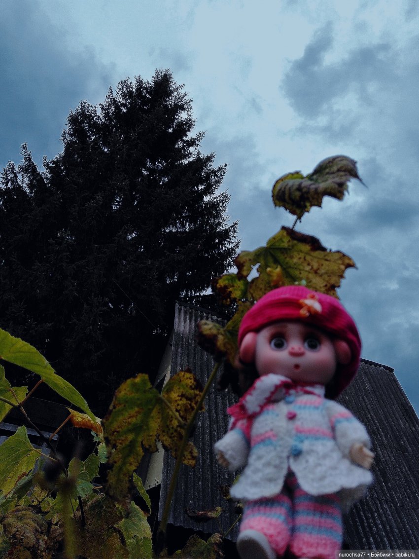 Про Нафочку. Допрыгалась Красная шапочка (фото 3)