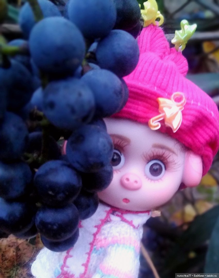 Про Нафочку. Допрыгалась Красная шапочка (фото 6)