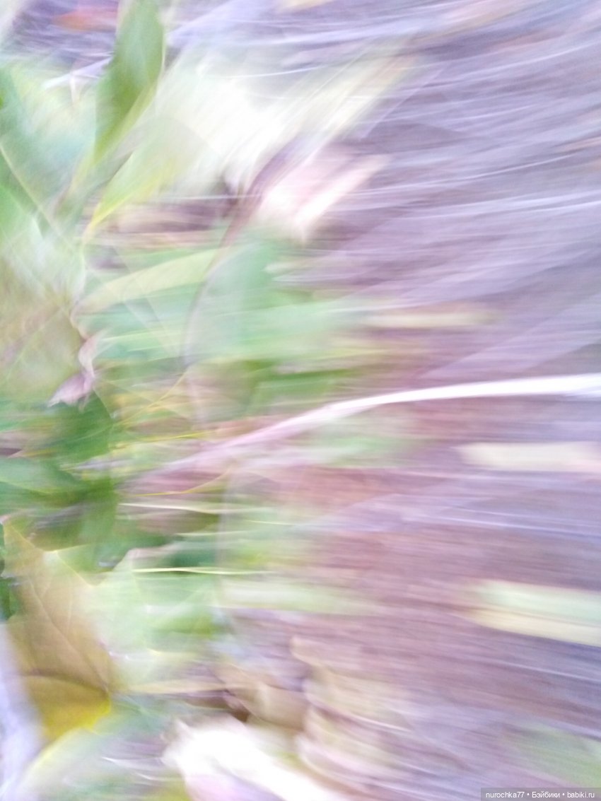 Про Нафочку. Допрыгалась Красная шапочка