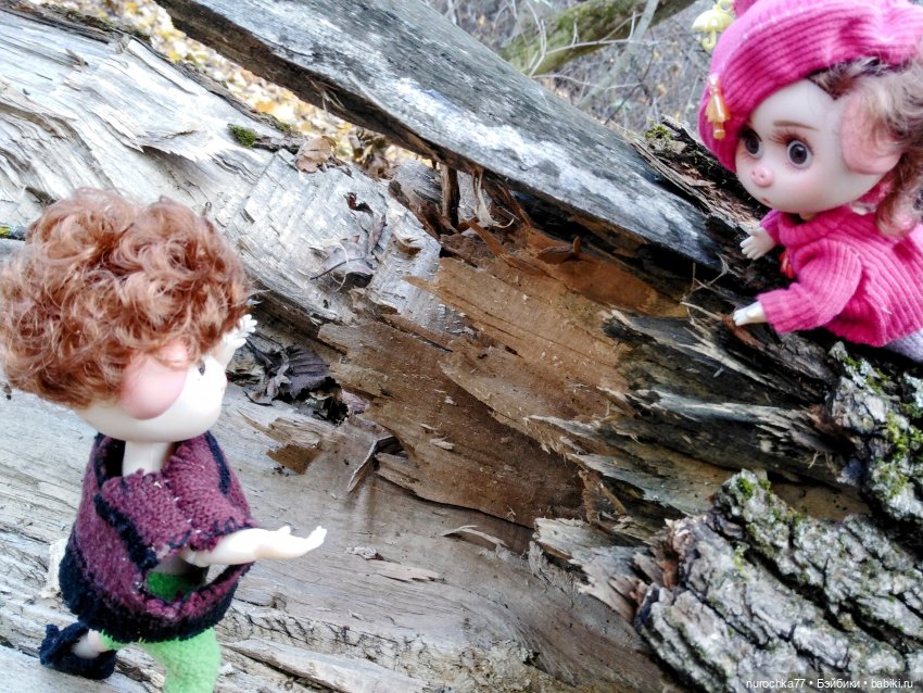 Про Нафочку. Лесные тайны. Эпизод 2