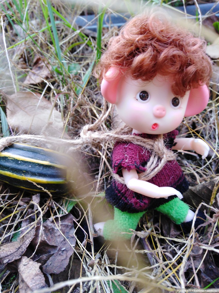 Про Нафочку. Лесные тайны. Эпизод 3 (фото 4)